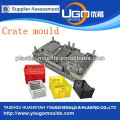 Disposable plastic fruit crate mould manufacturer